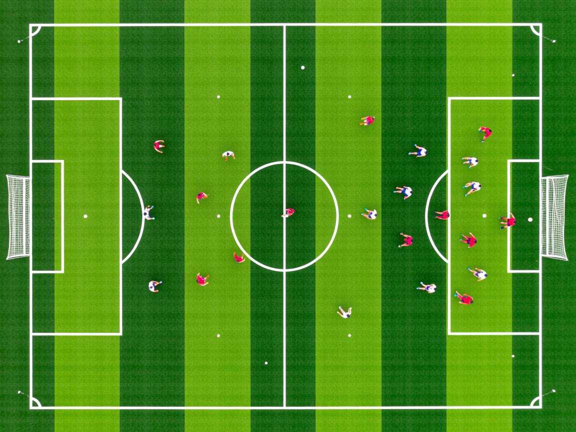 杏彩体育直播-世界乒坛：新规实施后的技术变化趋势，世界乒乓球运动技术与战术发展趋势  第3张